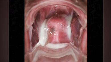様々な接写で膣内が丸見え、全開！