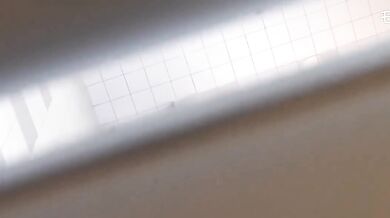 Toilet Voyeur Toilet Voyeur FH8X