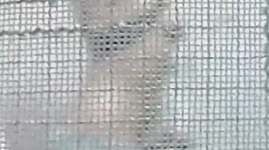 Secretly filming Malaysian girls topless