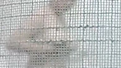 Secretly filming Malaysian girls topless