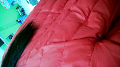 Ngoại tình với nữ thư ký ở cơ quan