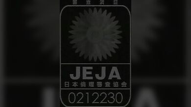 中国裸スタントチーム（検閲済み）