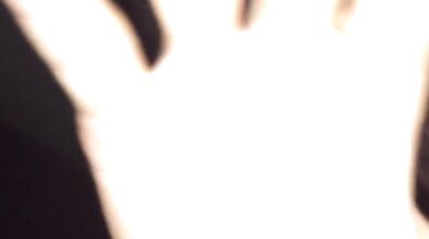 新加坡 SABBYTHECAT