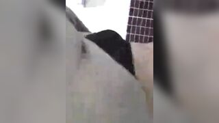 The girl who couldn't help her sexual desire masturbated and cummed