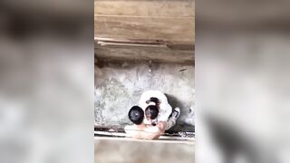 High School Couple Caught in Live Stream After School in Secluded Alley