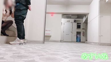 ぬすいぬ　露出　マンション　玄関