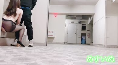 ぬすいぬ　露出　マンション　玄関