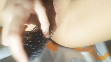 Dog Uses Comb for Self-Stimulation