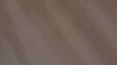 Beautiful Woman Serves Two Men