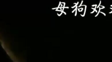 母犬ファンファン、大胆にショッピングモールで露出