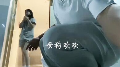 母犬ファンファン、大胆にショッピングモールで露出