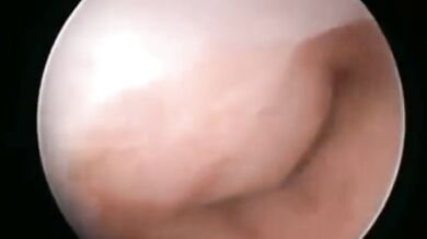 美しい女性の体を見て、彼女のアソコを広げ、さらには彼女の子宮にドリルで穴を開けますか？ ！