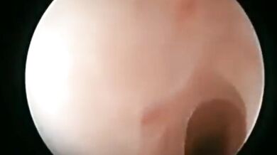 美しい女性の体を見て、彼女のアソコを広げ、さらには彼女の子宮にドリルで穴を開けますか？ ！