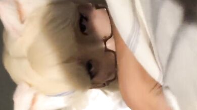 Golden Retriever cos thổi kèn selfie