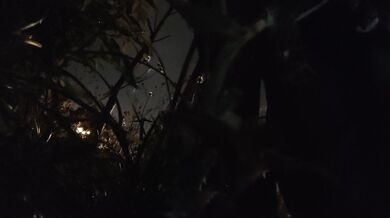 黒いシルクのセーラー服の少女が路上で放尿する