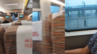 A couple with a big order has oral sex on the high-speed train