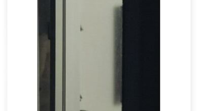 Cuộc sống đời thường của nữ hàng xóm (2)