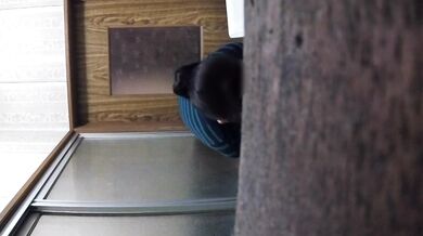 姪っ子(J※)                     2