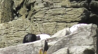 Mặc → Đồng phục, mặc đồng phục, thay đồng phục, học sinh 2