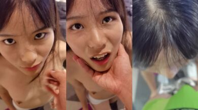 Chú chó nhỏ dễ thương quá biết vâng lời