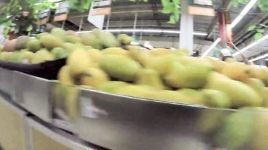 内部写真撮影禁止-5