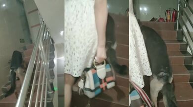 Không quay phim bí mật-7