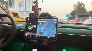 Tesla owner waits for green light to have oral sex