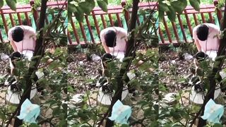 Students having sex outdoors were secretly photographed by passers-by